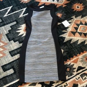 Dress NWT